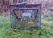 Standard mink trap opening