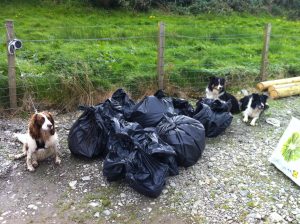 Rubbish gathered at Knock beach clean with canine helpers